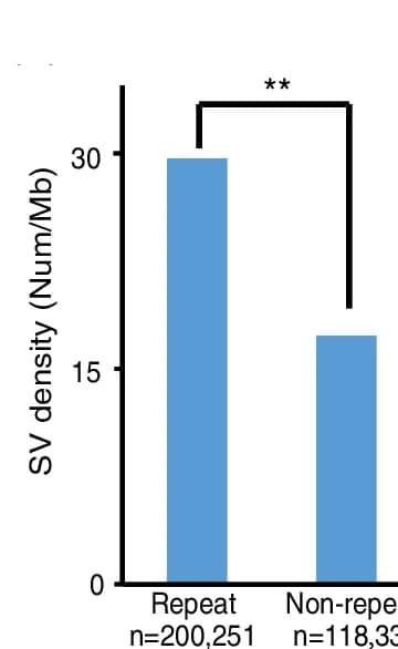 Open access visualization of Bar Plot, Structural Variation, Density, Genomic Regions, Fisher’s Exact Test