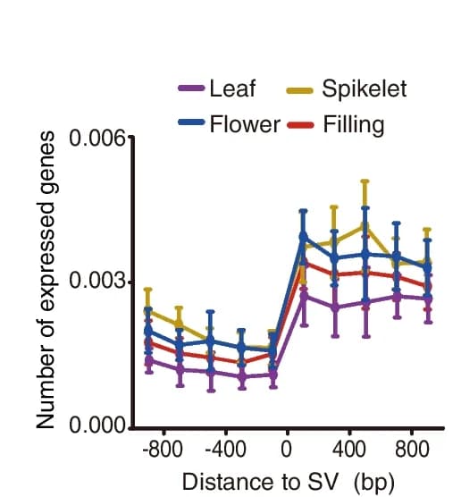 Open access visualization of Line Plot, Error Bars, Gene Expression Level, Structural Variation, Non-Structural Variation Regions