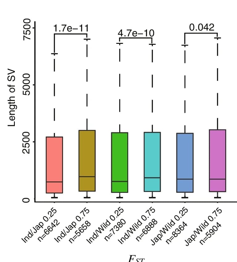 Open access visualization of Box Plot, SV length, Selective sweeps, FST analyses, Box plots
