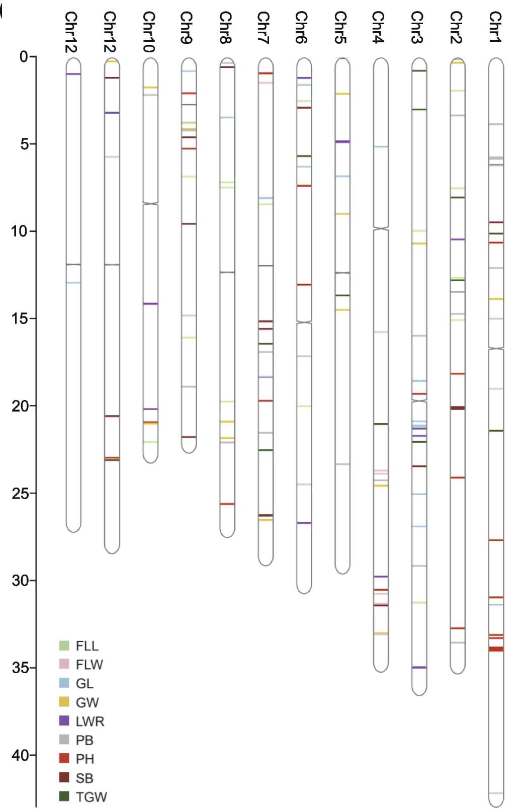 Open access visualization of Illustration, GWAS, Grain Length, Grain Width, Grain Weight