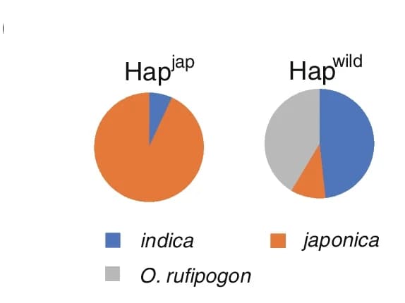 Open access visualization of Pie Chart, Haplotype Frequencies, Cultivated Rice, Wild Rice