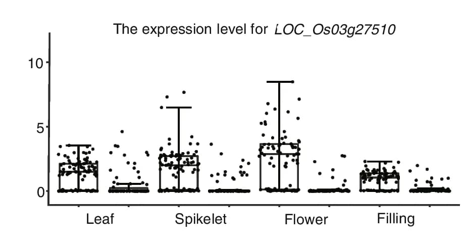 Open access visualization of Box Plot, Scatter Plot, Raincloud Plot, Expression Profiling, LOC_Os03g27510