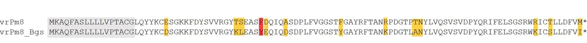 Open access visualization of Illustration, Protein Sequence Alignment, AvrPm8, Signal Peptide, Polymorphic Residues
