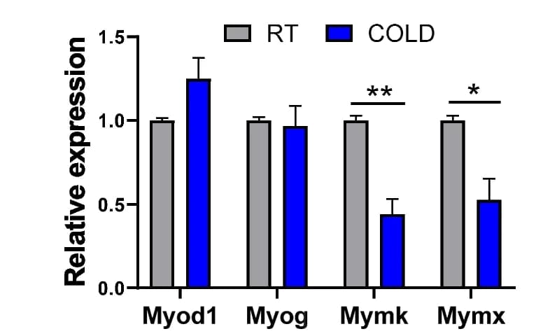 Open access visualization of Bar Plot, Error Bars, Clustered, qPCR, Myod1