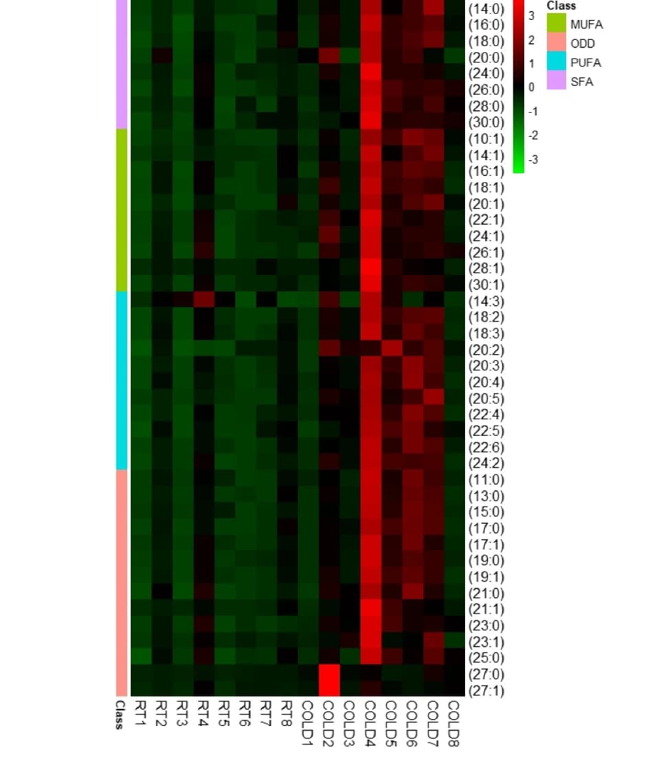 Open access visualization of Heatmap, Fatty Acyl Chains, SFA, MUFA, PUFA