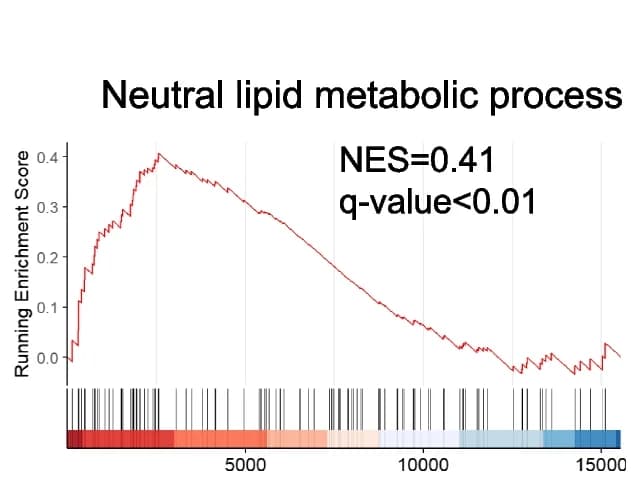 Open access visualization of Line Plot, Gene Set Enrichment Analysis, Neutral Lipid Metabolic Process, RT, COLD