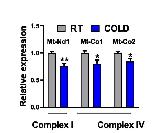 Open access visualization of Bar Plot, Error Bars, Clustered, qPCR analysis, Mitochondrial respiratory chain