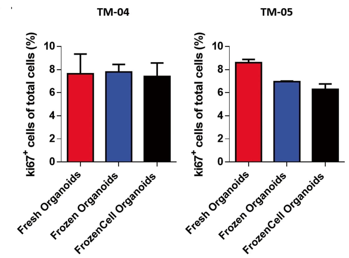 Open access visualization of Bar Plot, Error Bars, Ki67, Tumoroids, Fresh