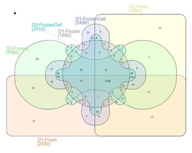 Open access visualization of Venn Diagram, Proteins, Fresh Tumoroids, Frozen Tumoroids, FrozenCell Tumoroids