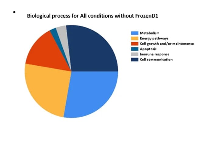 Open access visualization of Pie Chart, Biological Processes, Proteins, Frozen Tumoroids