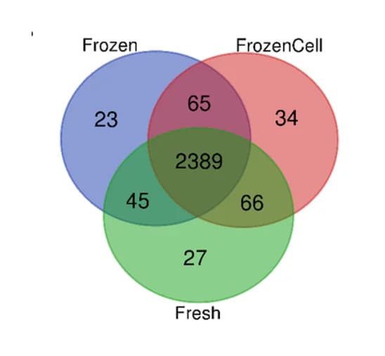 Open access visualization of Venn Diagram, Proteins, Fresh Tumoroids, Frozen Tumoroids, FrozenCell Tumoroids