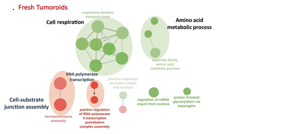 Open access visualization of Network, Pathway, Proteins, GO terms, STRING network