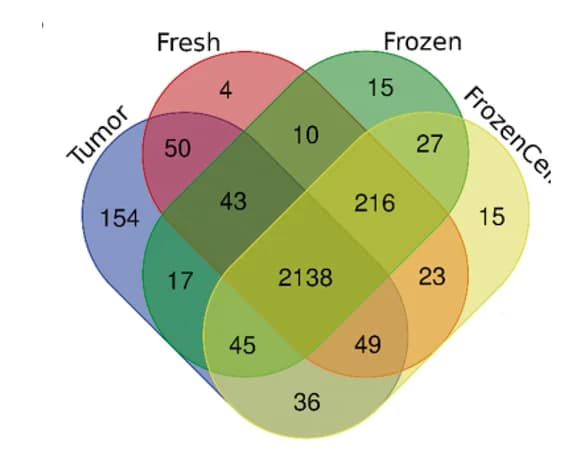 Open access visualization of Venn Diagram, Proteins, Tumor, Tumoroids