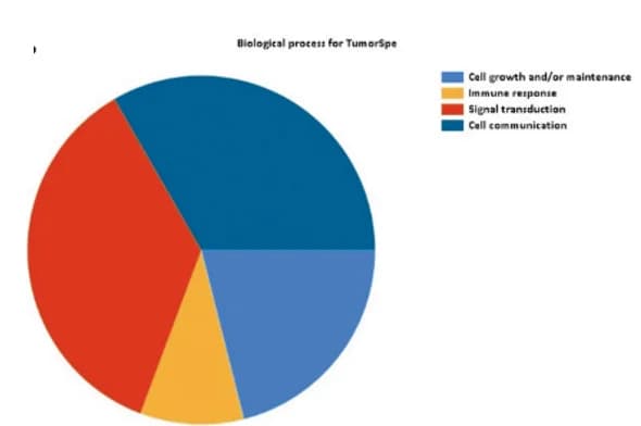 Open access visualization of Pie Chart, Biological Processes, Proteins, Primary Tumors, FunRich