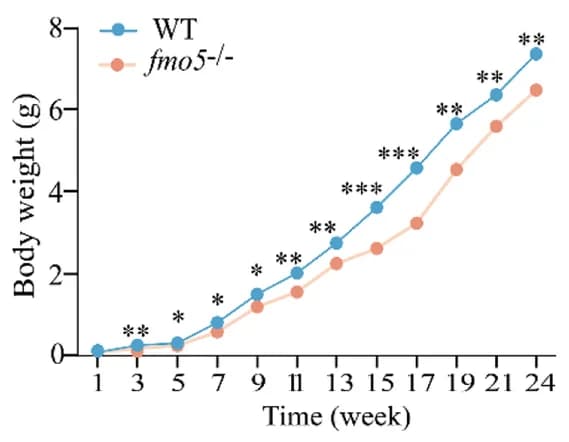 Open access visualization of Line Plot, Growth curves, WT, fmo5 deletion, Loach