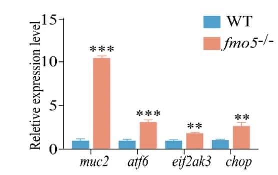 Open access visualization of Bar Plot, Error Bars, Clustered, Expressions, muc2