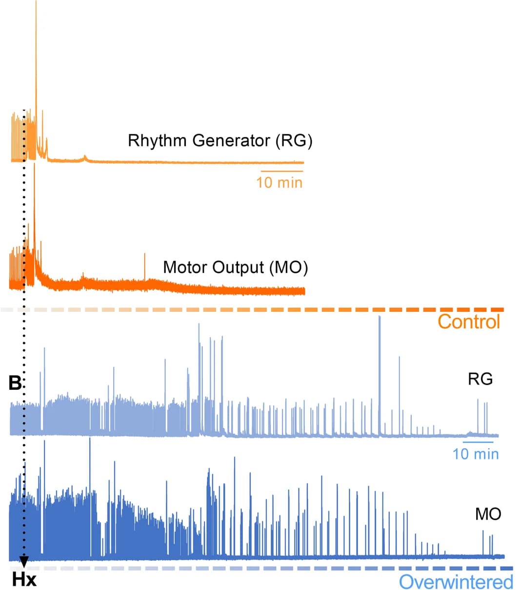 Open access visualization of Line Plot, Raw Traces, Control, Hypoxia