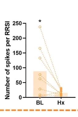 Open access visualization of Bar Plot, Scatter Plot, Hypoxia, Spikes, Respiratory-related synaptic input
