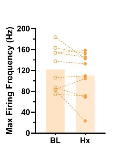 Open access visualization of Bar Plot, Scatter Plot, Hypoxia Exposure, Membrane Potential, Firing Frequency