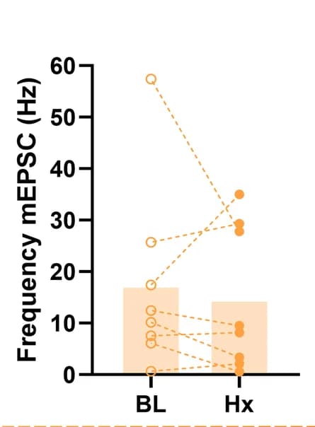 Open access visualization of Bar Plot, Scatter Plot, Hypoxia, mEPSC Frequency