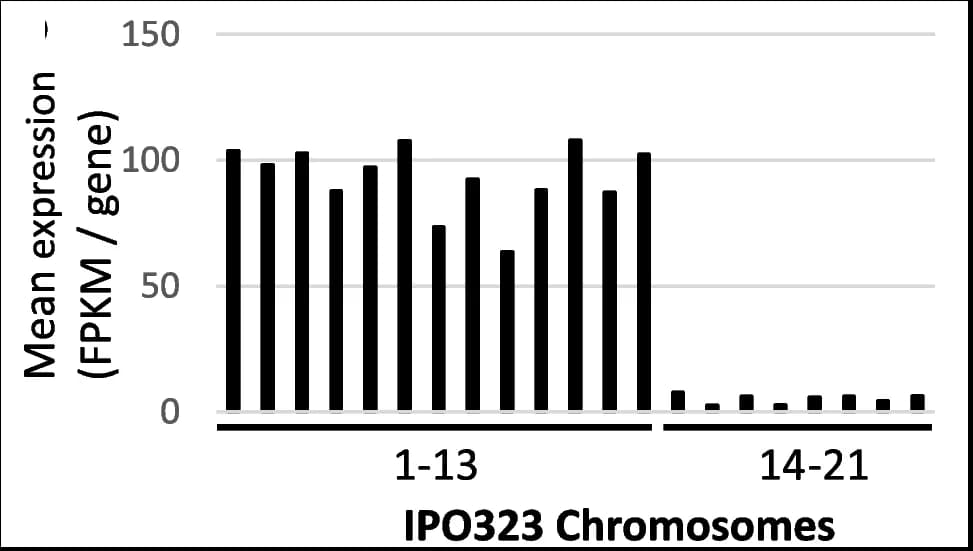 Open access visualization of Bar Plot, Gene Expression, Chromosome, Isolates