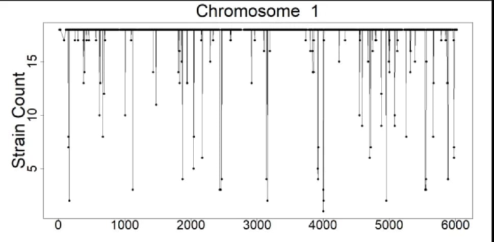 Open access visualization of Scatter Plot, Manhattan Plot, Presence/Absence Variation, Genes, Chromosome