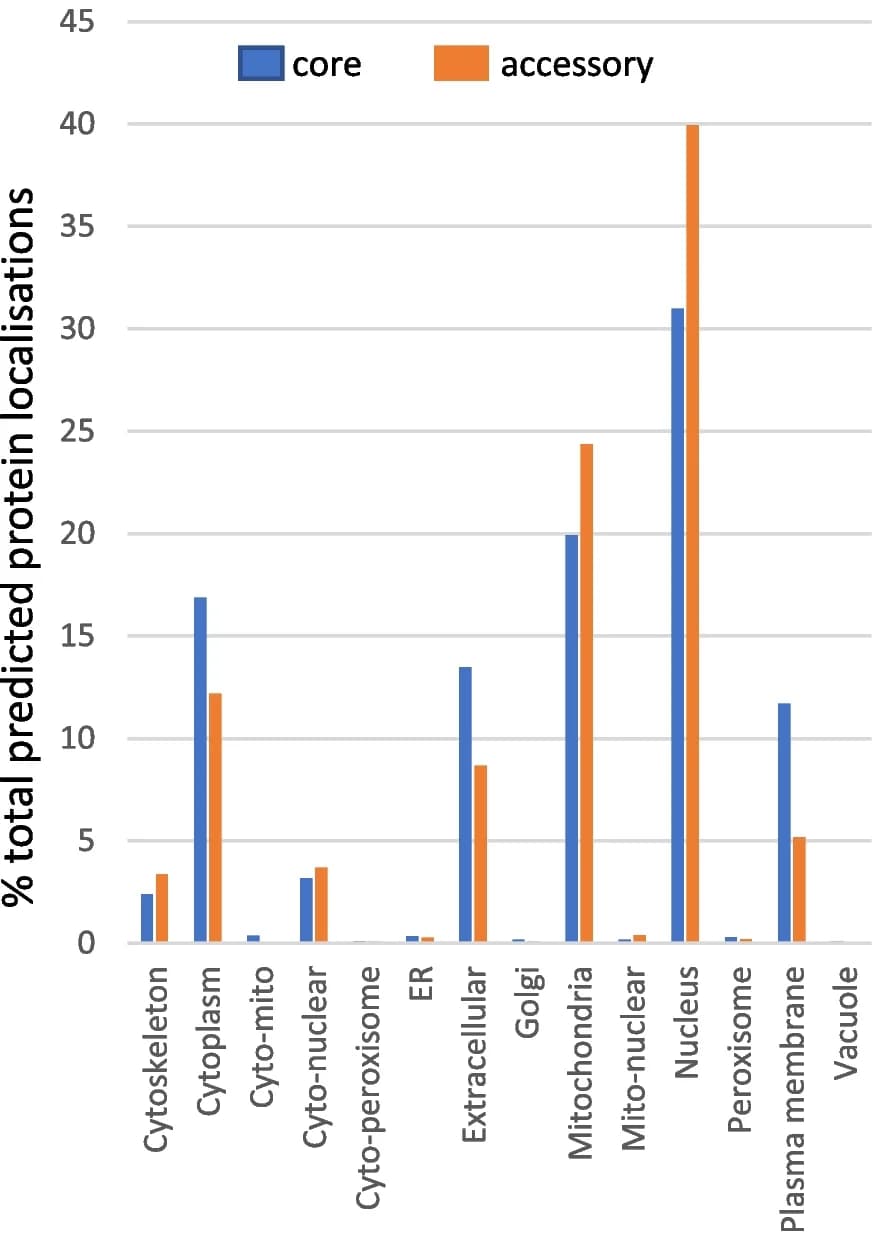 Open access visualization of Clustered, Proteins, Core Genes, Accessory Genes, Protein Localisation