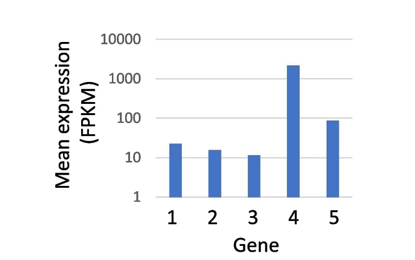 Open access visualization of Bar Plot, Expression Levels, RNAseq