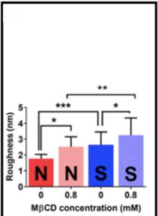 Open access visualization of Bar Plot, Error Bars, Surface Roughness, Erythrocytes, Sickle Erythrocytes