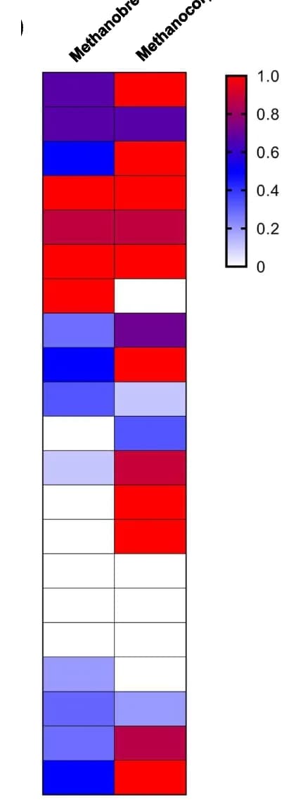 Open access visualization of Heatmap, OTUs, Species, Diet
