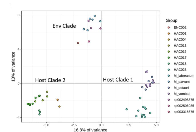 Open access visualization of Scatter Plot, PCA, Genetic variance, KO annotation, PCA plots