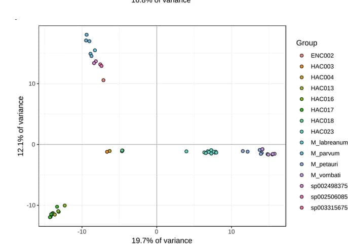 Open access visualization of Scatter Plot, PCA, Genetic variance, Ortholog annotation, PCA plots