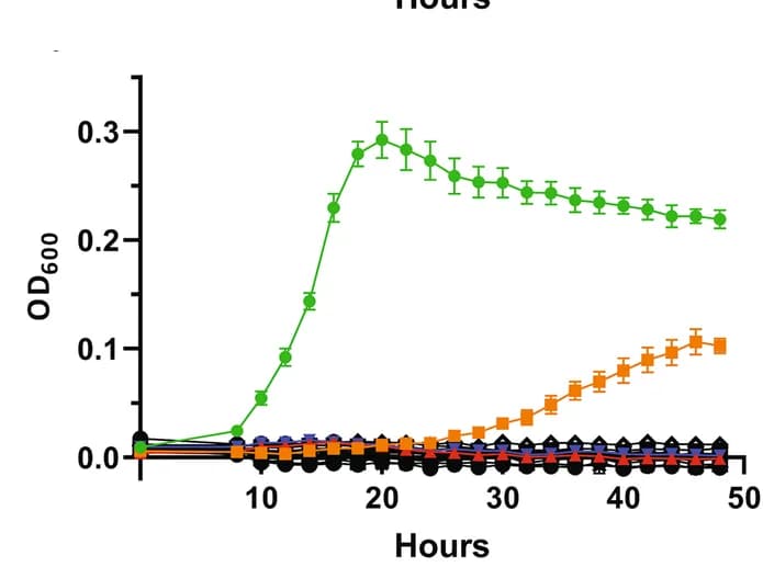 Open access visualization of Line Plot, Error Bars, M. petauri MG, CO2, H2