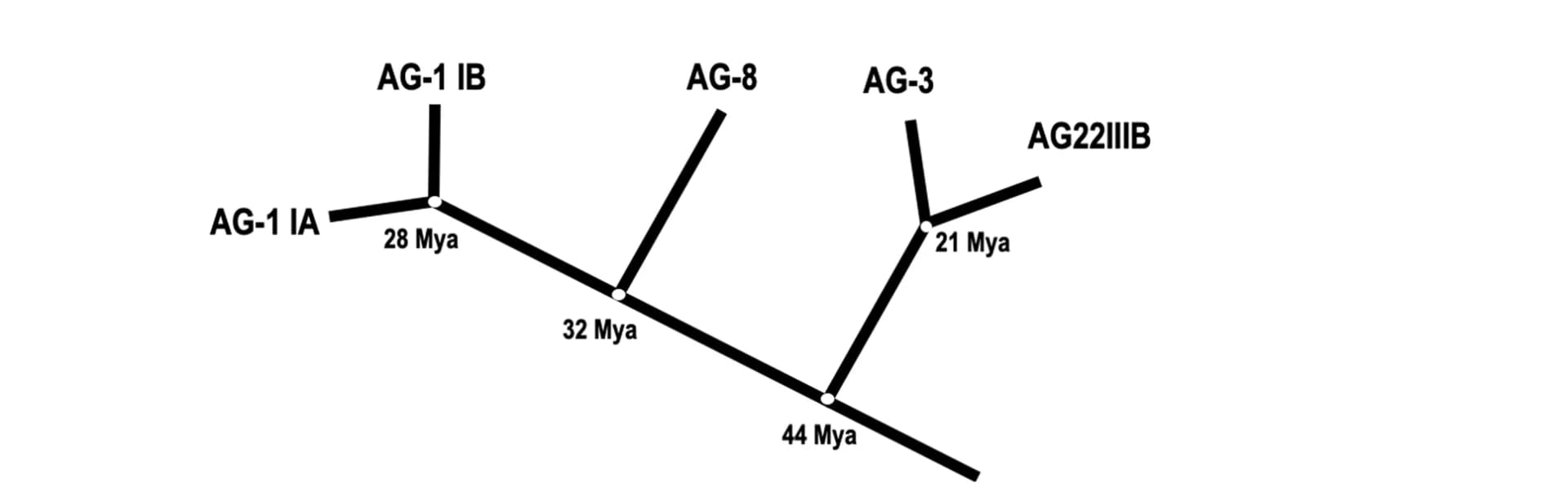 Open access visualization of Network, Pathway, Phylogenetic Tree, Rhizoctonia solani, Genome Sequencing