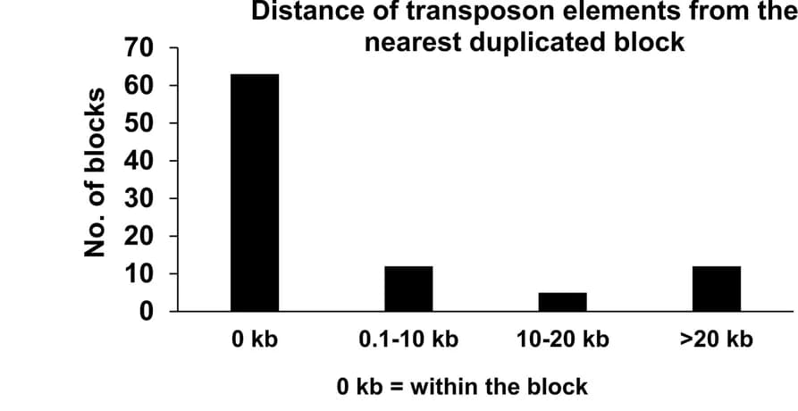Open access visualization of Bar Plot, Transposon Elements, Paralogous Gene Blocks, Genome
