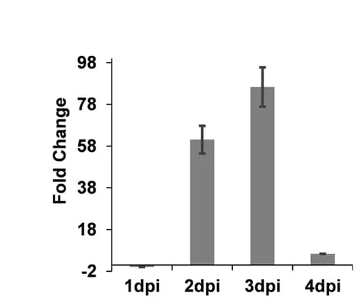 Open access visualization of Bar Plot, Error Bars, qRT-PCR, Gene Expression Analysis, Pathogenesis