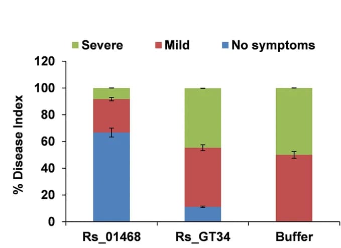 Open access visualization of Stacked Bar Plot, Error Bars, Disease Index, Tomato, R. solani