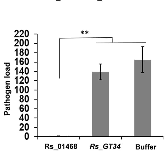 Open access visualization of Bar Plot, Error Bars, Pathogen Load, Tomato, R. solani