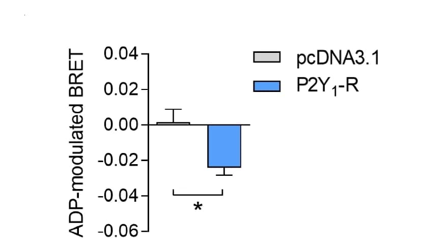 Open access visualization of Bar Plot, Error Bars, Gaq protein activation, BRET signal, HEK293T cells