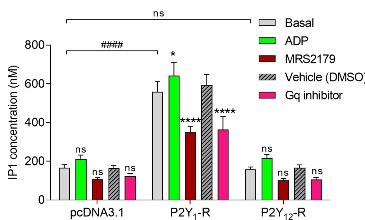 Open access visualization of Bar Plot, Error Bars, HEK293T cells, P2Y 1 -R, P2Y 12 -R