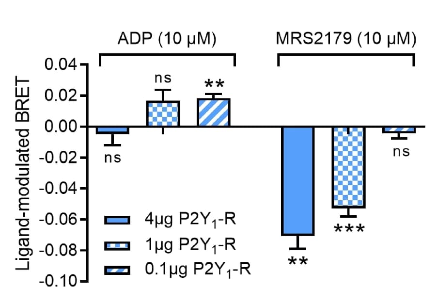 Open access visualization of Bar Plot, Error Bars, Clustered, Beta-arrestin 2, BRET