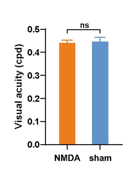 Open access visualization of Bar Plot, Error Bars, Pretraining VA, NMDA lesion, Sham mice