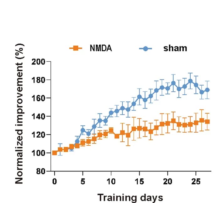 Open access visualization of Line Plot, Error Bars, Learning curve, Mice, Training days