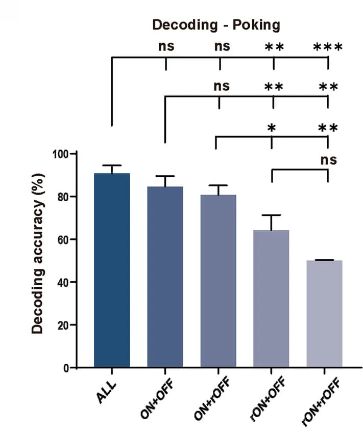 Open access visualization of Bar Plot, Error Bars, Decoding Analyses, Poking Behavior, Reward Behavior