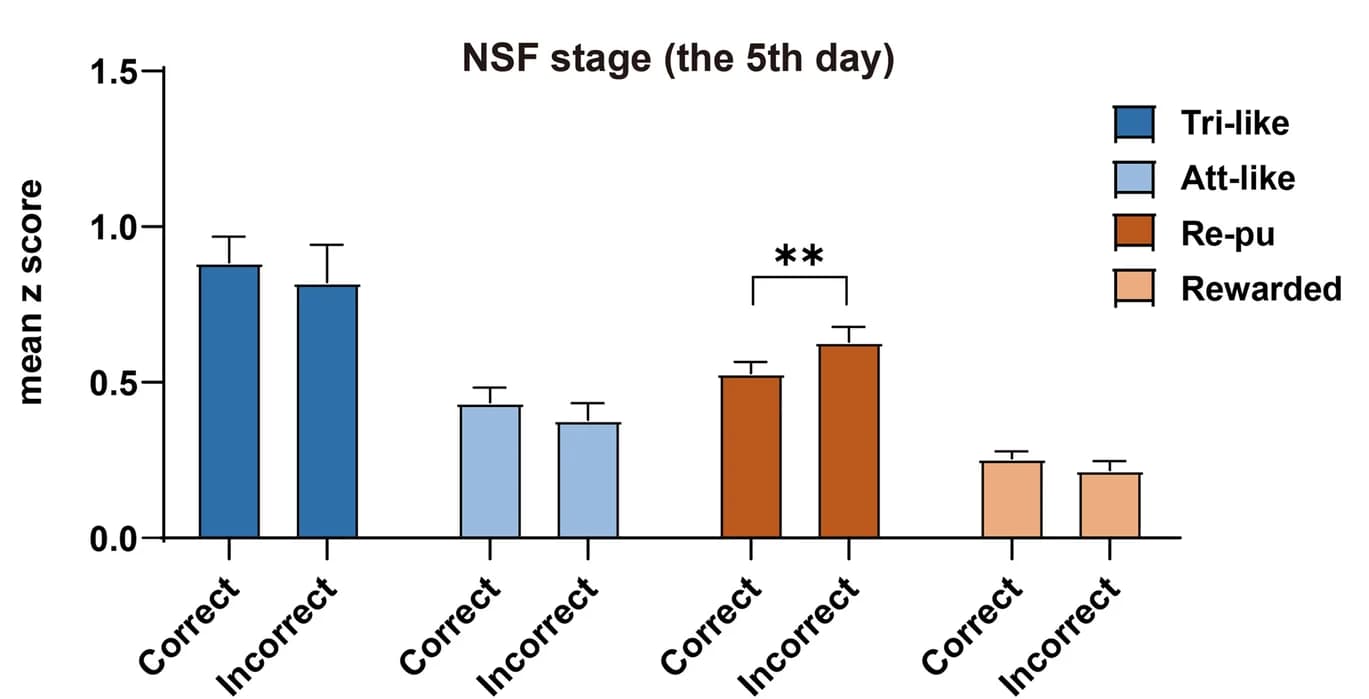 Open access visualization of Bar Plot, Error Bars, Clustered, Neuronal Response, Ensemble