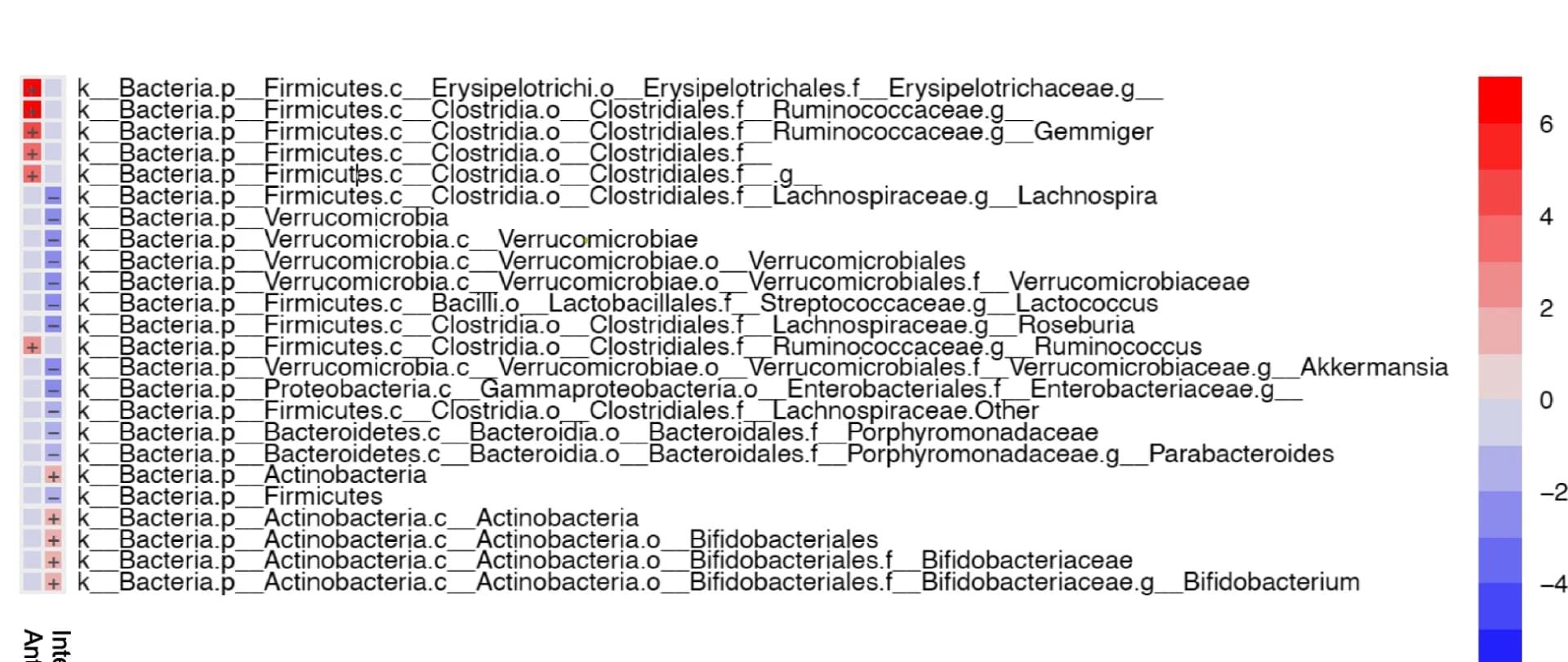 Open access visualization of Heatmap, Multivariable analysis, MaAsLin2, Bifidobacteriaceae, Synbiotic feeding