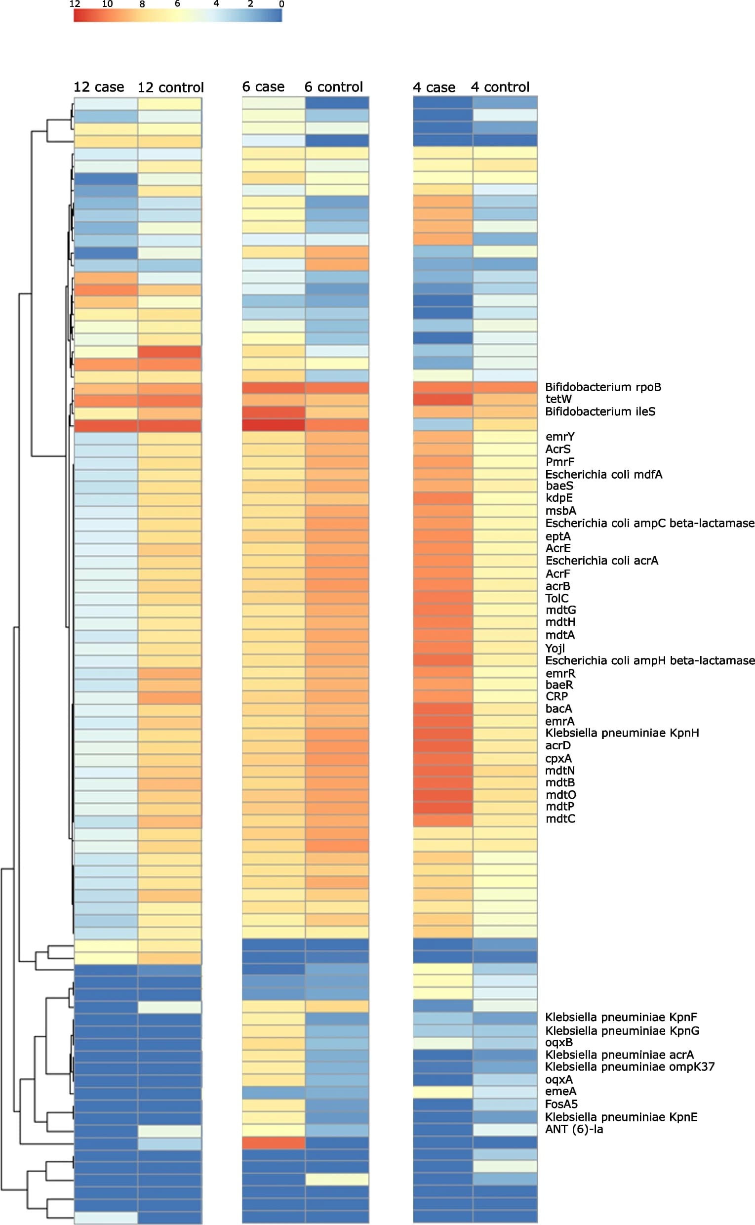 Open access visualization of Heatmap, Clustered, Antimicrobial Resistance, Lower Respiratory Tract Infection, Infants