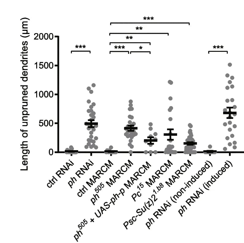 Open access visualization of Scatter Plot, Error Bars, ddaC Dendrites, Unpruned, Length
