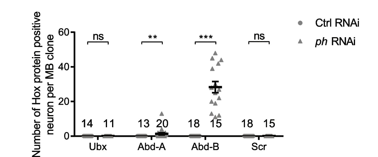 Open access visualization of Scatter Plot, Error Bars, Quantification, Ubx, Abd-A