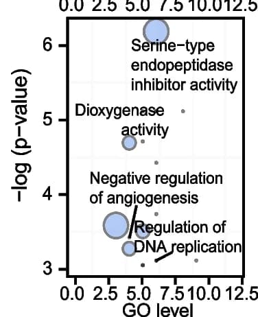 Open access visualization of Bubble Plot, GO Enrichment, Fisher Exact Test, Positively Selected Genes